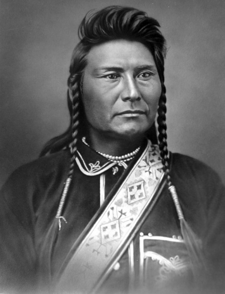 Chief-Joseph-Nez-Perce-by-David-Frances-Barry-784x1024.jpg
